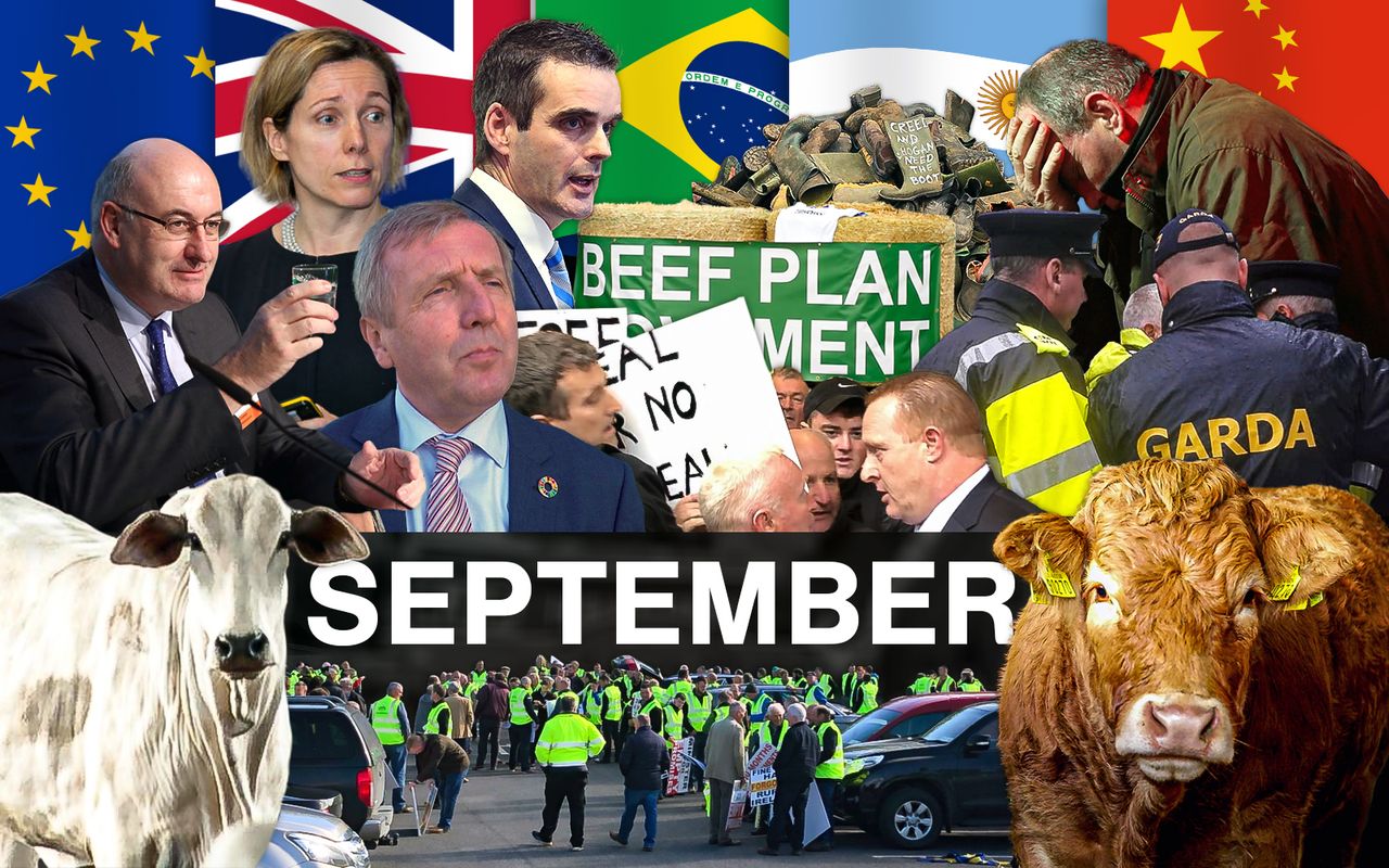 Beef Industry Review: September