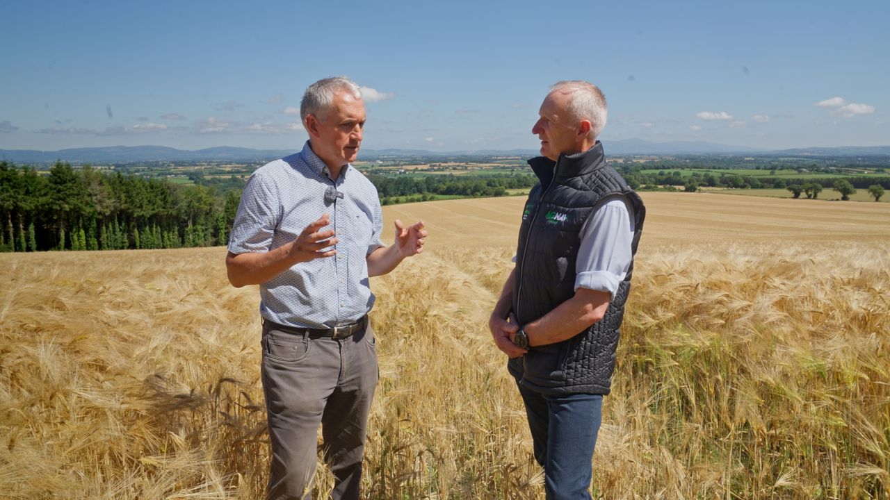 Measuring carbon the 'new frontier' for Irish tillage farming