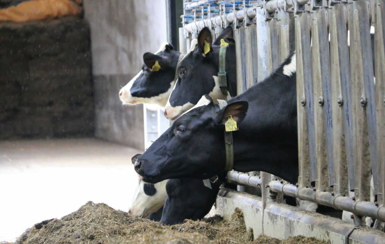 Meeting KPIs: How it's done at the 'Future Herd'