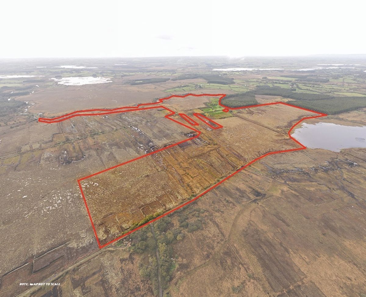 'Biodiversity wonderland' in Roscommon offered for sale