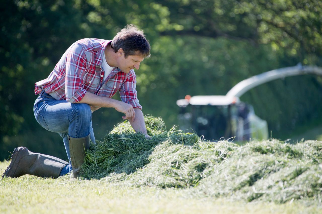 Agri-worker numbers down nearly 4,000 year-on-year
