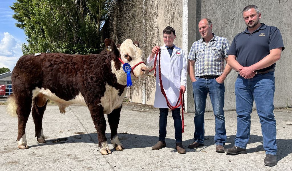 Intelagri 1 Luke sold for €4,000. (L-r): Exhibitor Jack Larkin, purchaser Marcus Kelleher and sponsor Tennyson Egar from Irish Hereford Prime