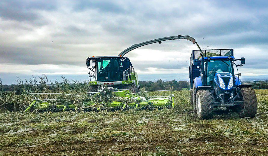Latest-generation Claas Jaguar hits Ireland - but how does it affect the bottom line?
