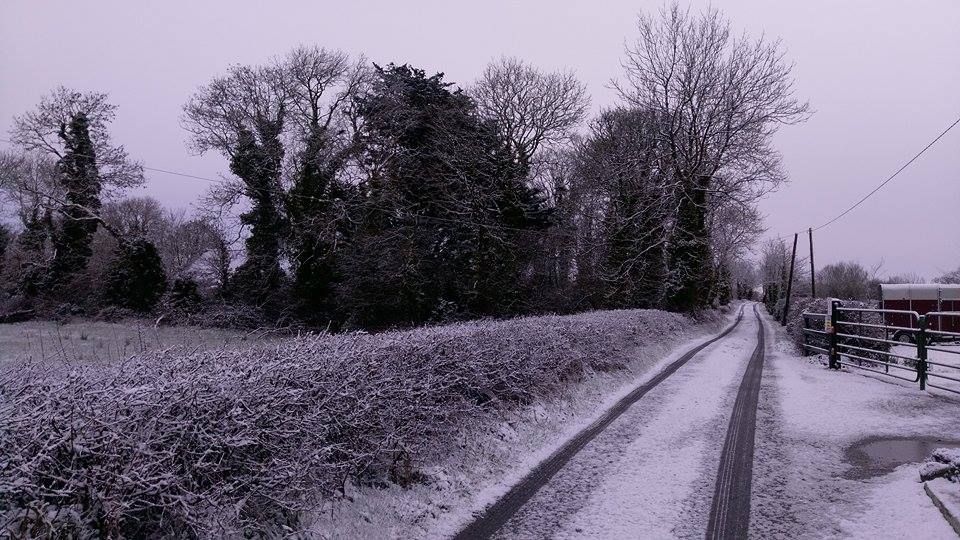 Status Orange snow and ice warning issued