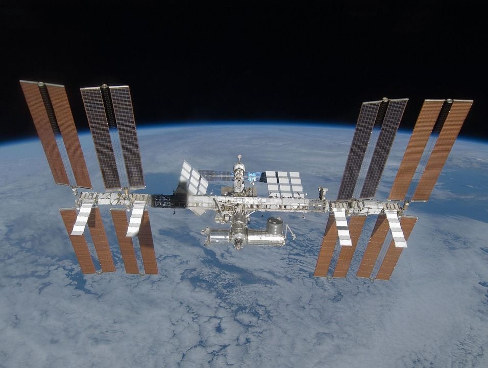 Seeds launched into space as part of climate change project