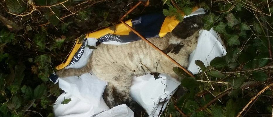The 'depressing and exhausting' fight against illegal dumping in the countryside