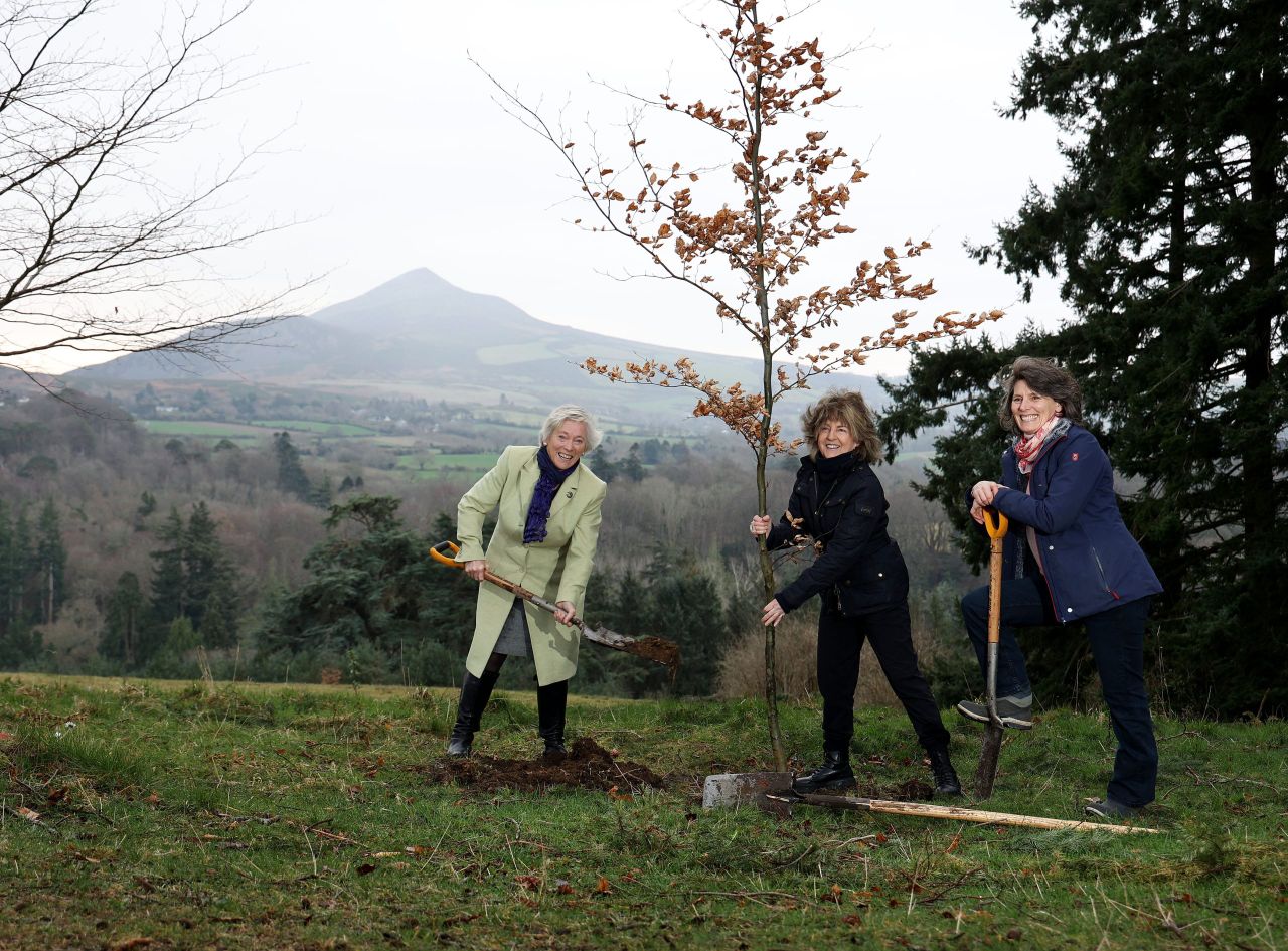 2,500 native Irish trees planted to mark International Women's Day