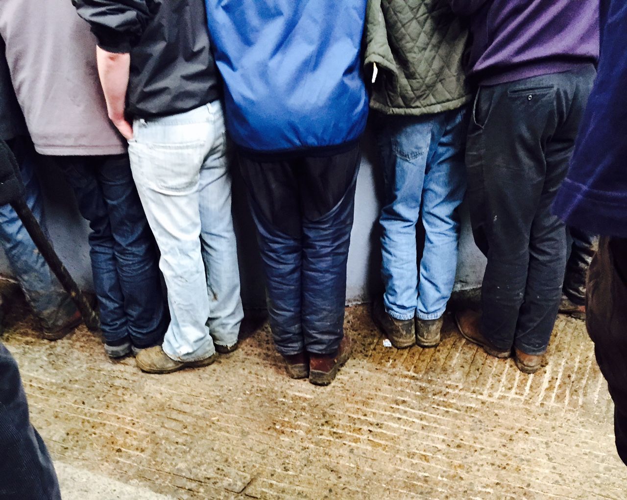 Kanturk Mart on song for 'Rearing for Rickie' fundraiser