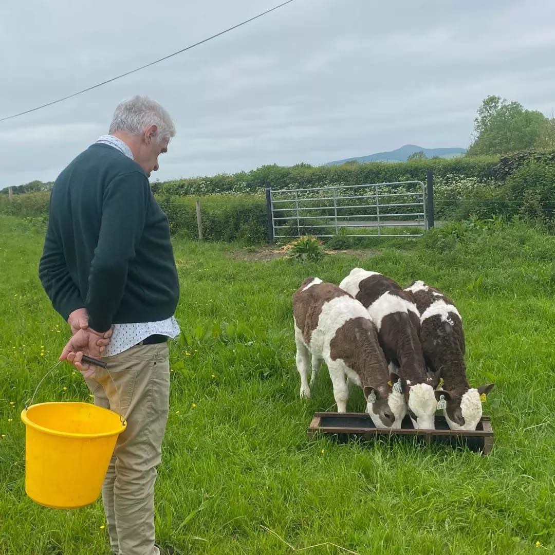 €200,000 in funding for social farming placements