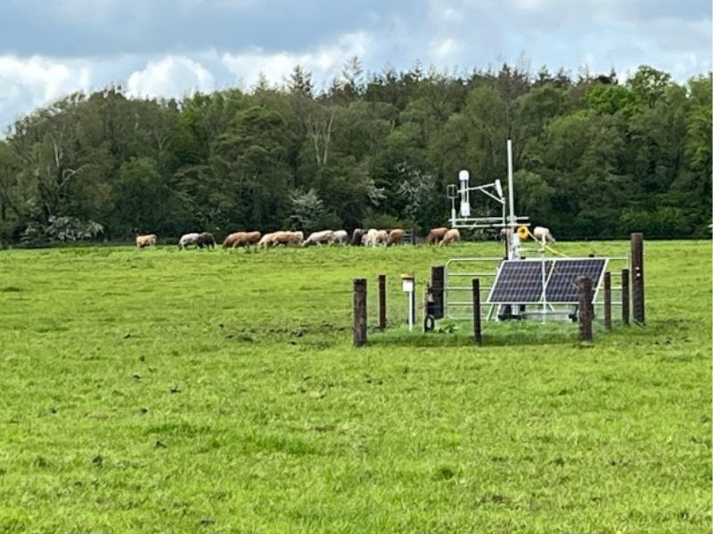 Offaly workshop: 'Lack of clarity' on rewetting at farm scale