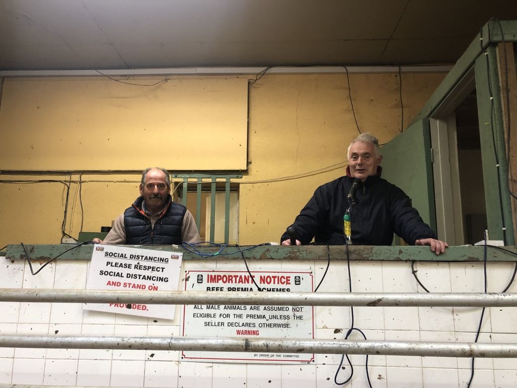 L:R: Arthur O'Neil and Myles Lambert looking after the sheep sale at Enniscorthy Mart on Wednesday