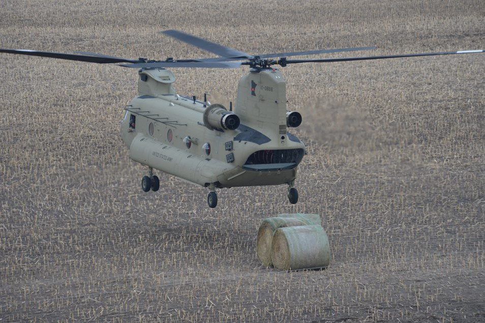 Video: Bales of hay airdropped to flood-stricken cattle by National Guard