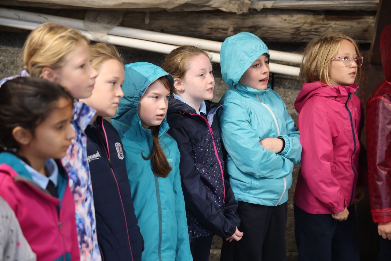 25,000 Irish school children take part in World School Milk Day