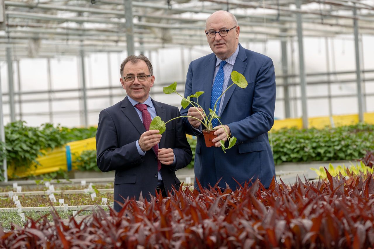 Hogan visits Beotanics - the company bringing sweet potatoes from Kilkenny to the world