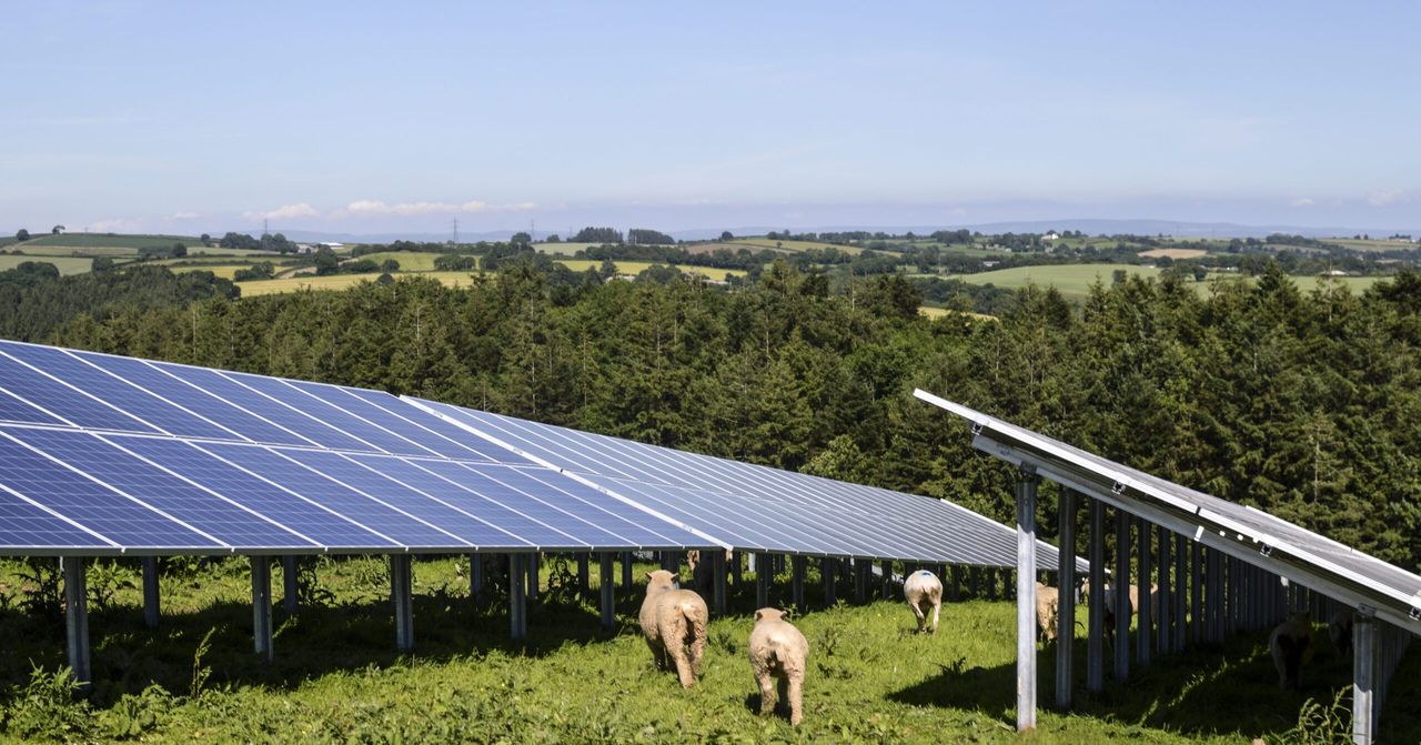 Planning permission granted for Offaly solar farm