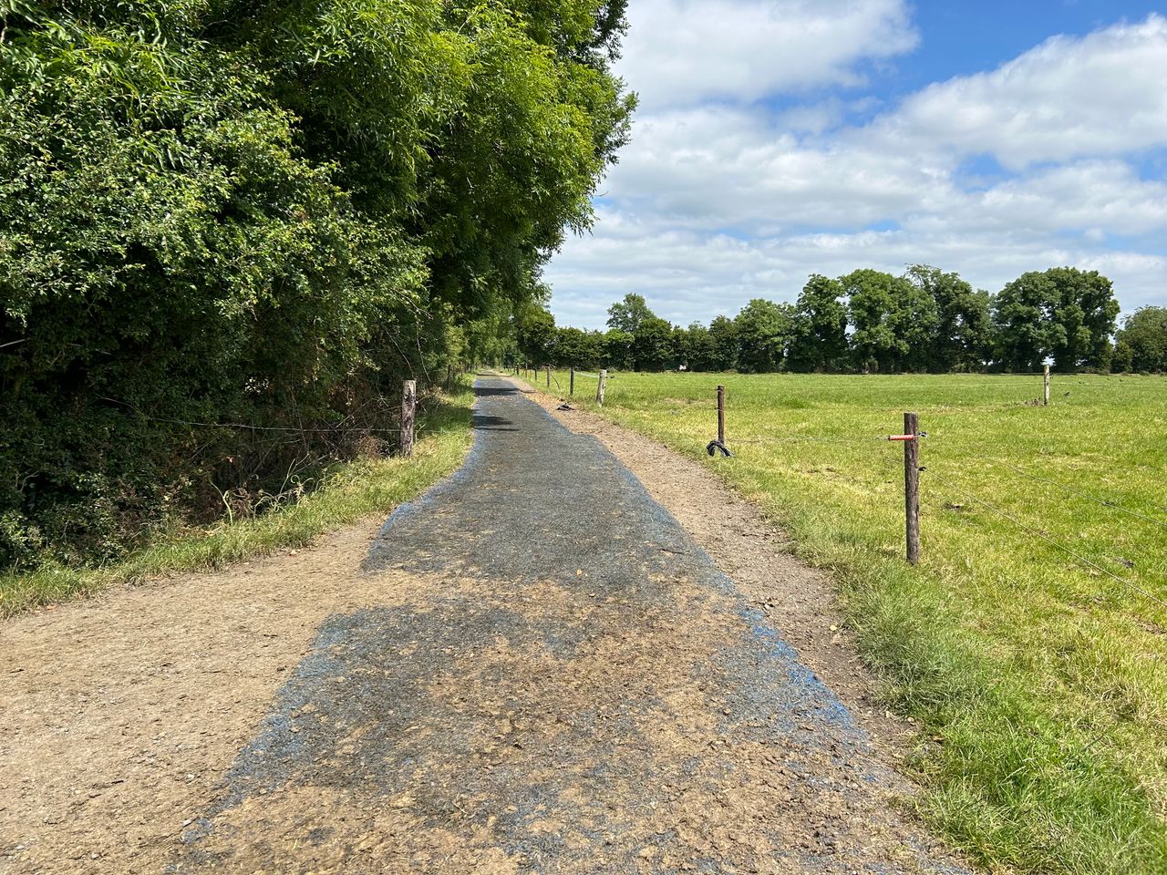 Dairy farmer reduces lameness using astro turf roadways