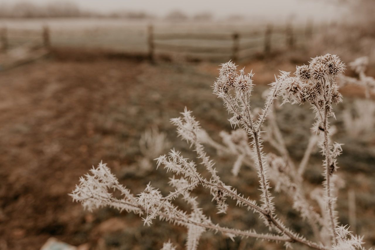 How to manage a cold snap on your farm