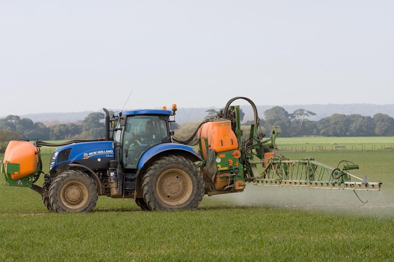 Crop report highlights impact of wet start to the year