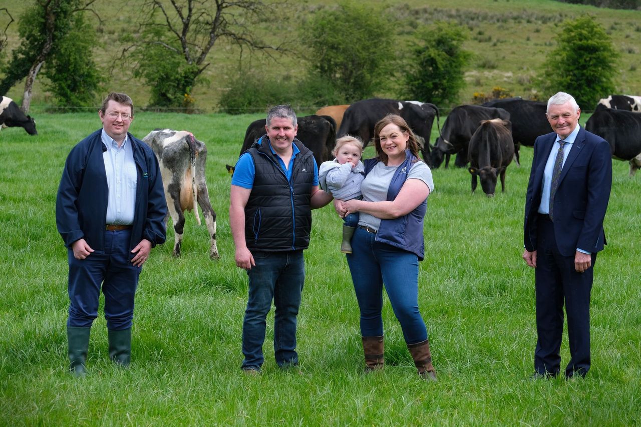 NI's new Beacon Farm Network begins carbon footprint benchmarking