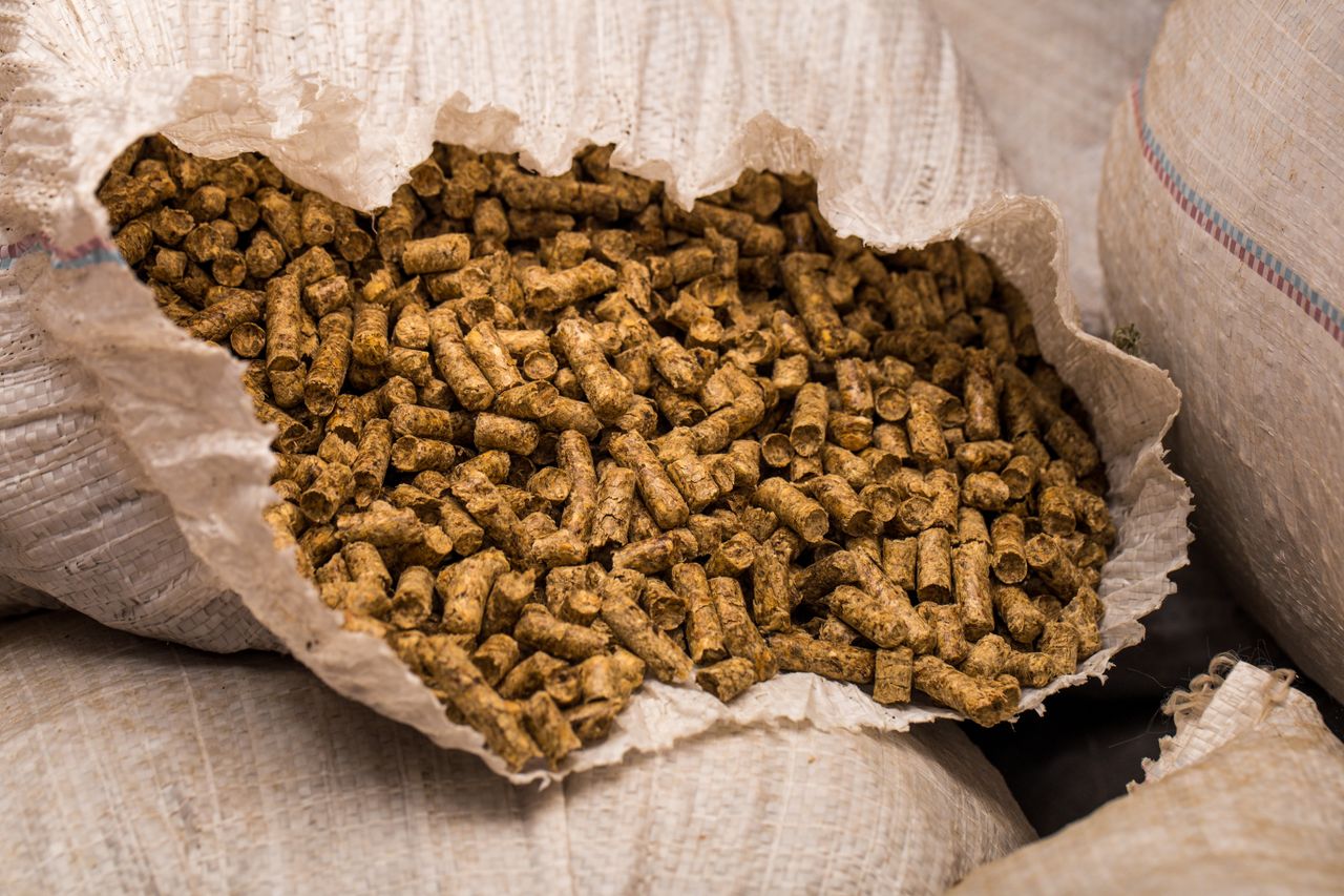Series of workshops start tomorrow on wood fuel drying