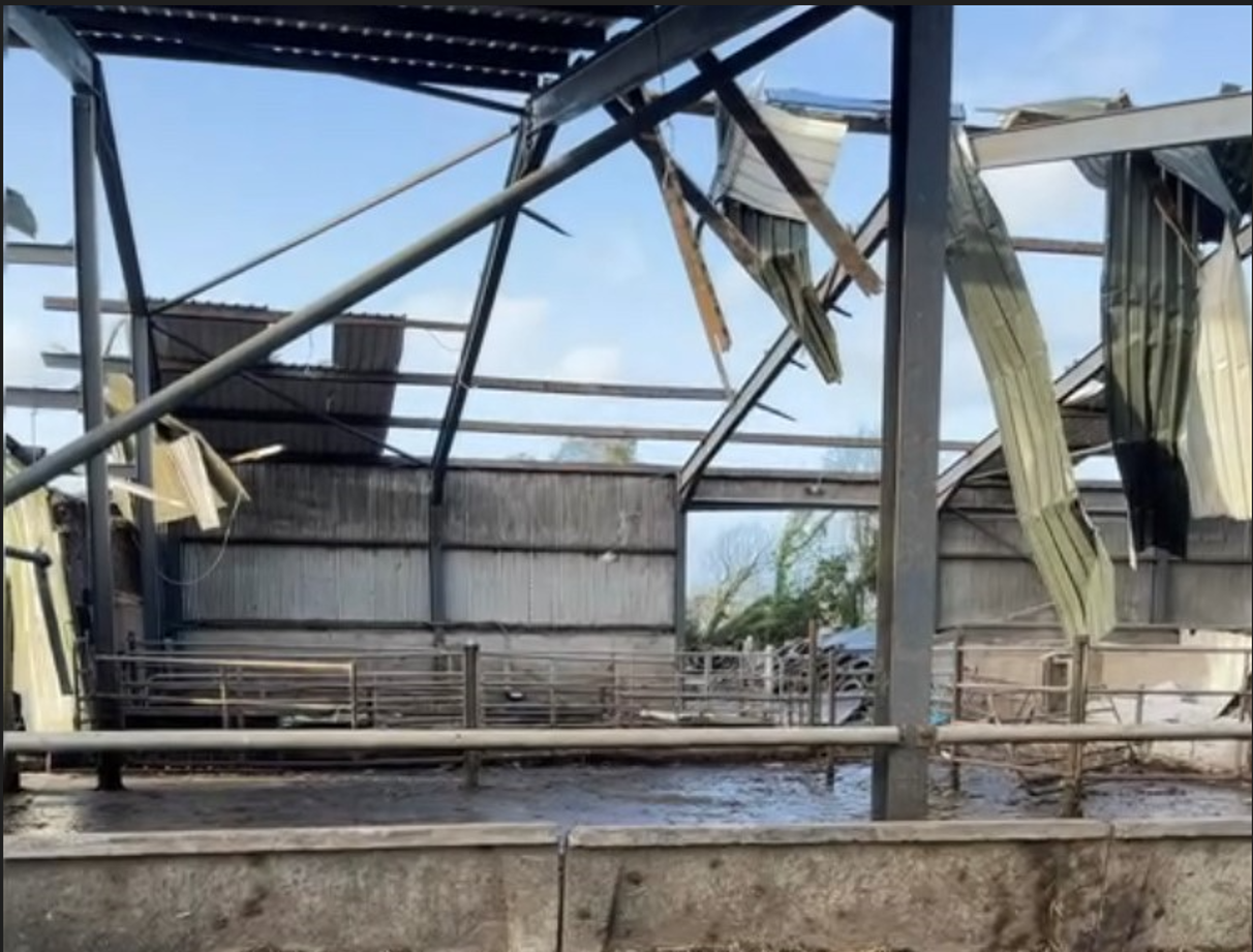 Video: Livestock killed and farm damaged as 'tornado like' winds hit Wexford