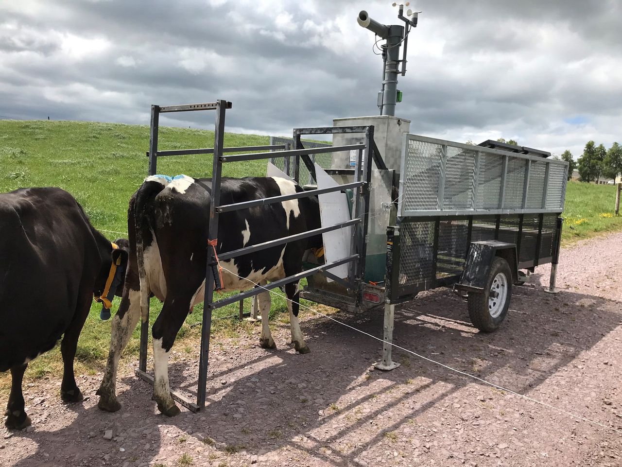 New chair appointed to Dairy Research Ireland