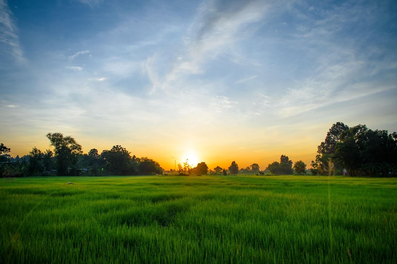 Kelly: Package 'puts trust back in the hands of farmers'