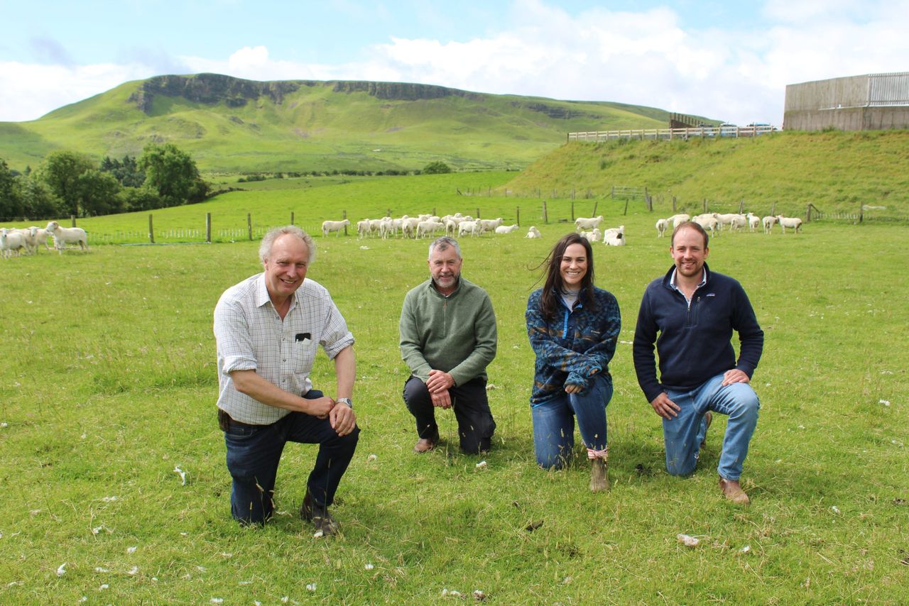Wicklow group visits EasyCare sheep operation in Co. Antrim