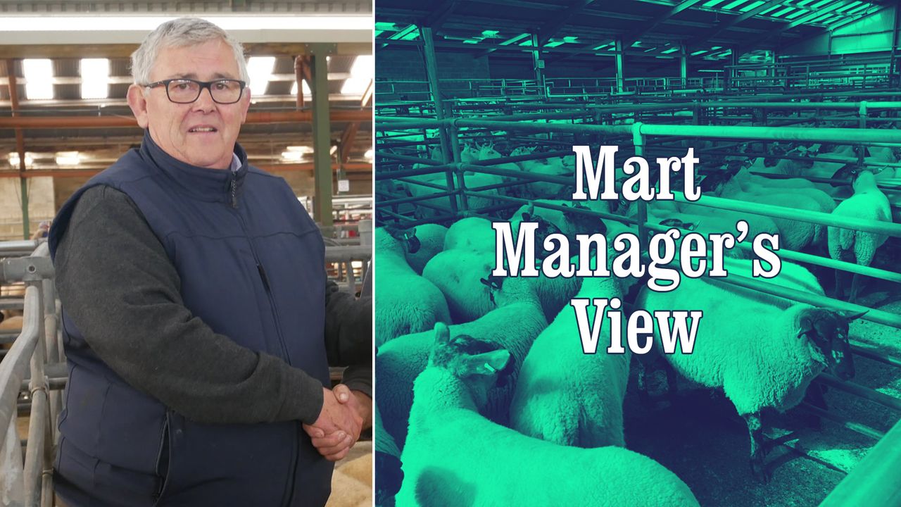 'This way of trading could become the new normal' - Blessington's John Doyle