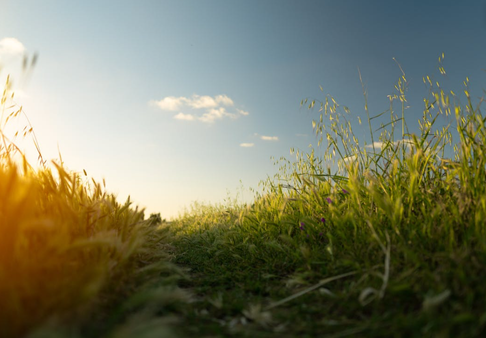 Report: 9% of protected habitats show improving trends