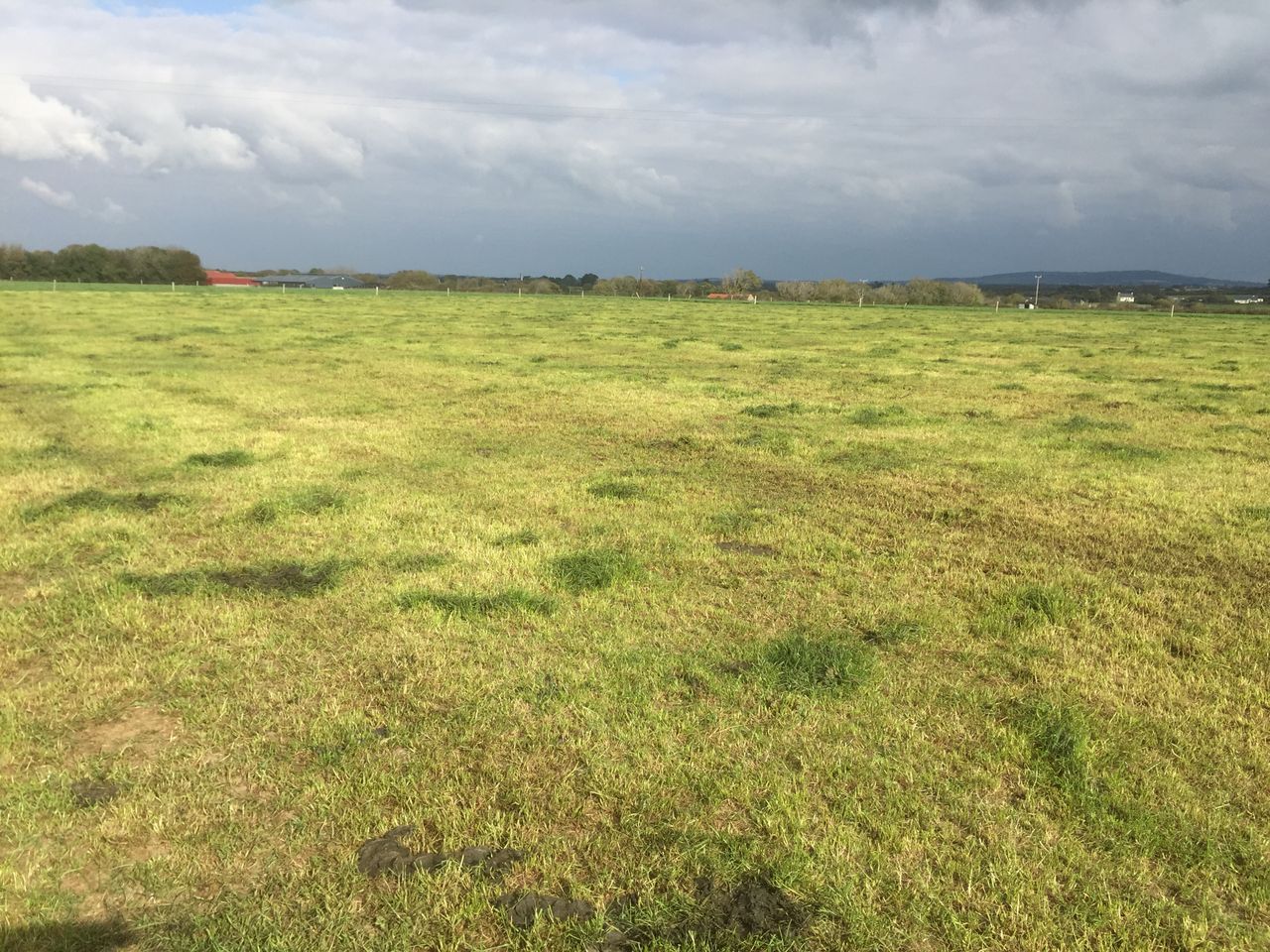 Grass management during the current dry spell