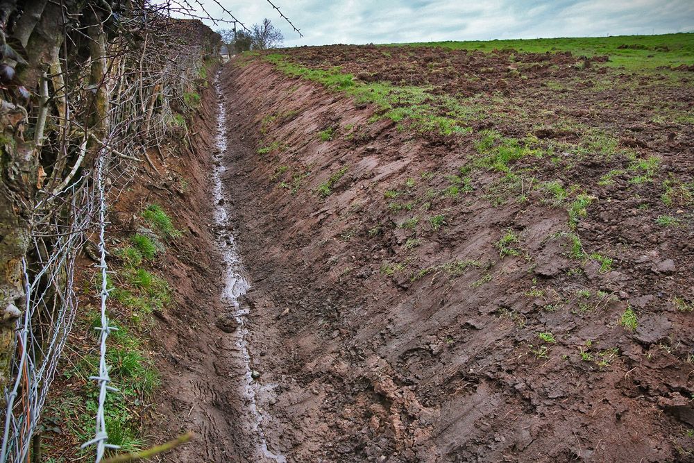 Barriers stopping farmers maximise GLAS payments must be removed - IFA