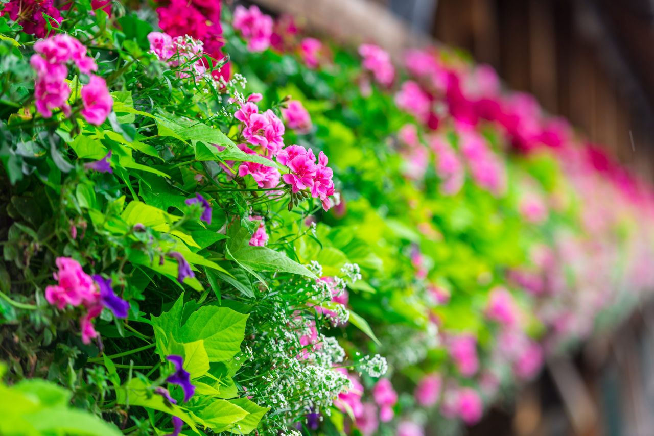 Search is on for this year's tidiest towns and villages