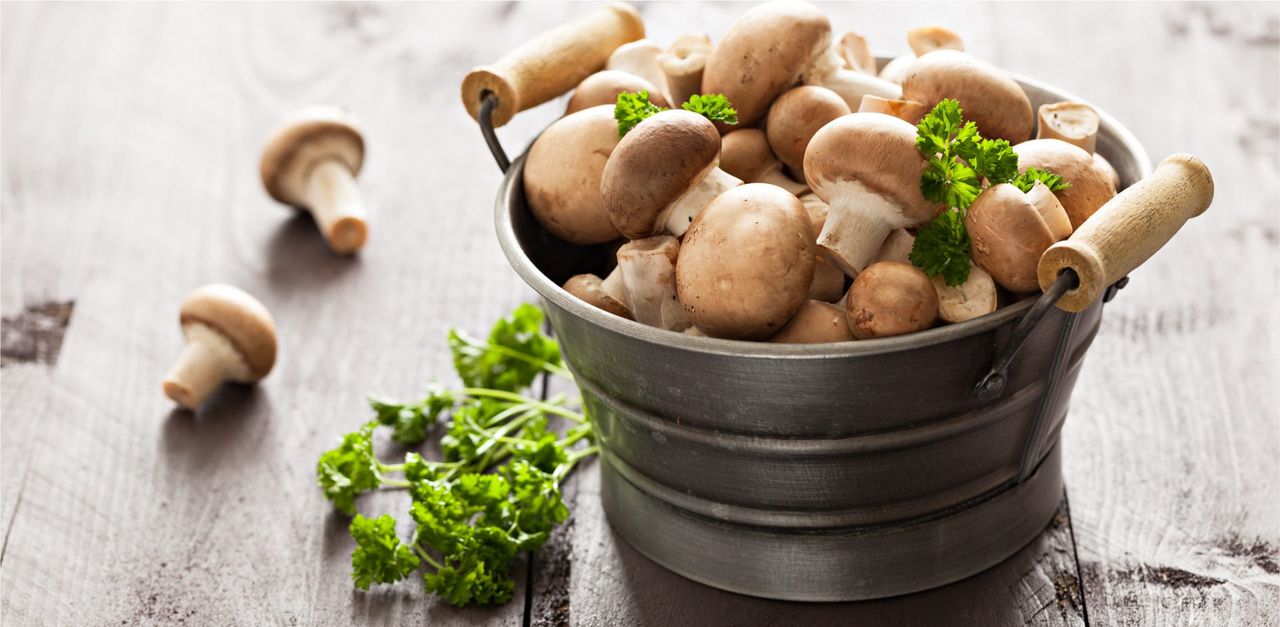 Mushroom firm enters administration just two years after £1.5m investment