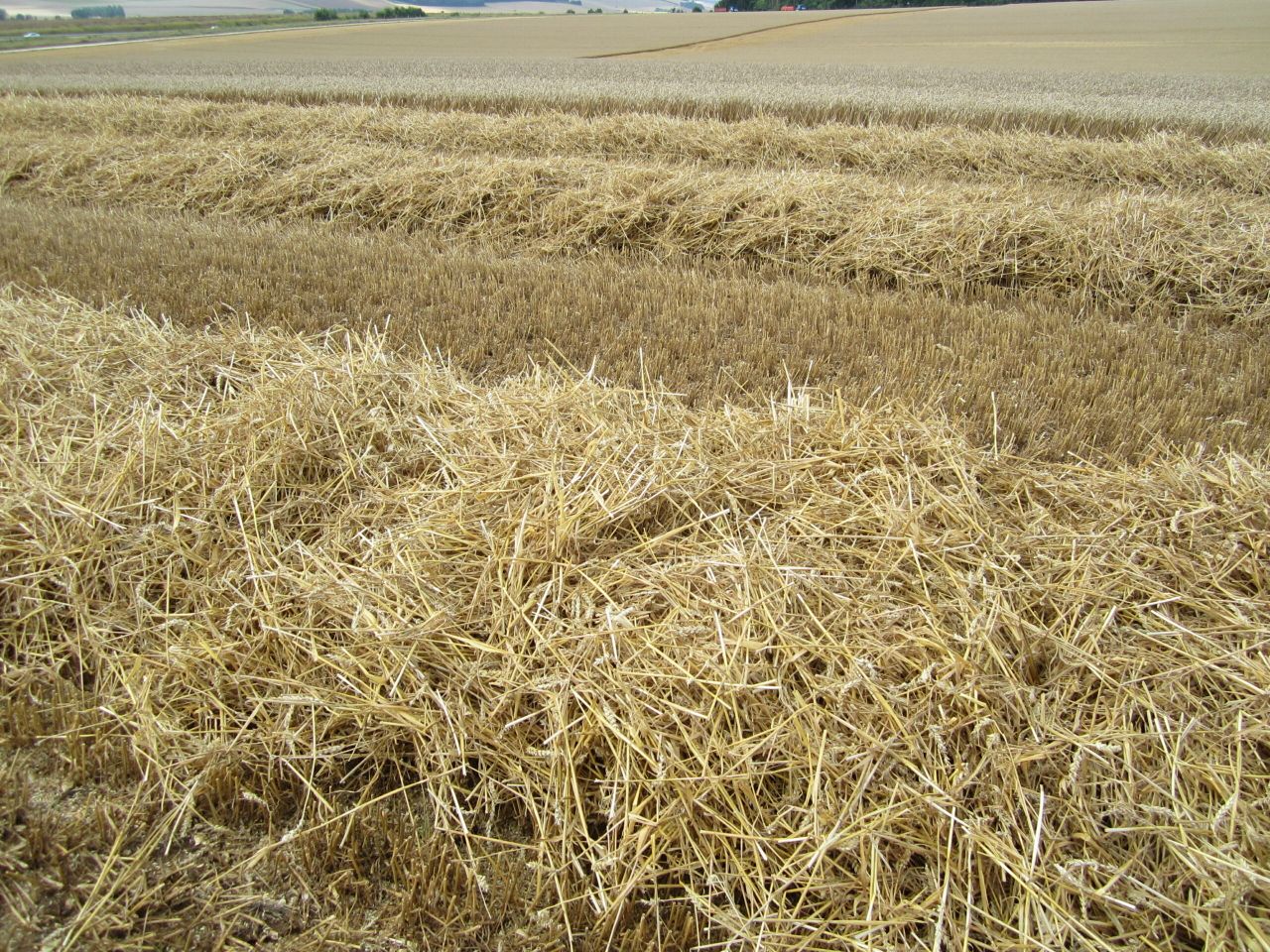 Harvest progress slow this week as showers disrupt work