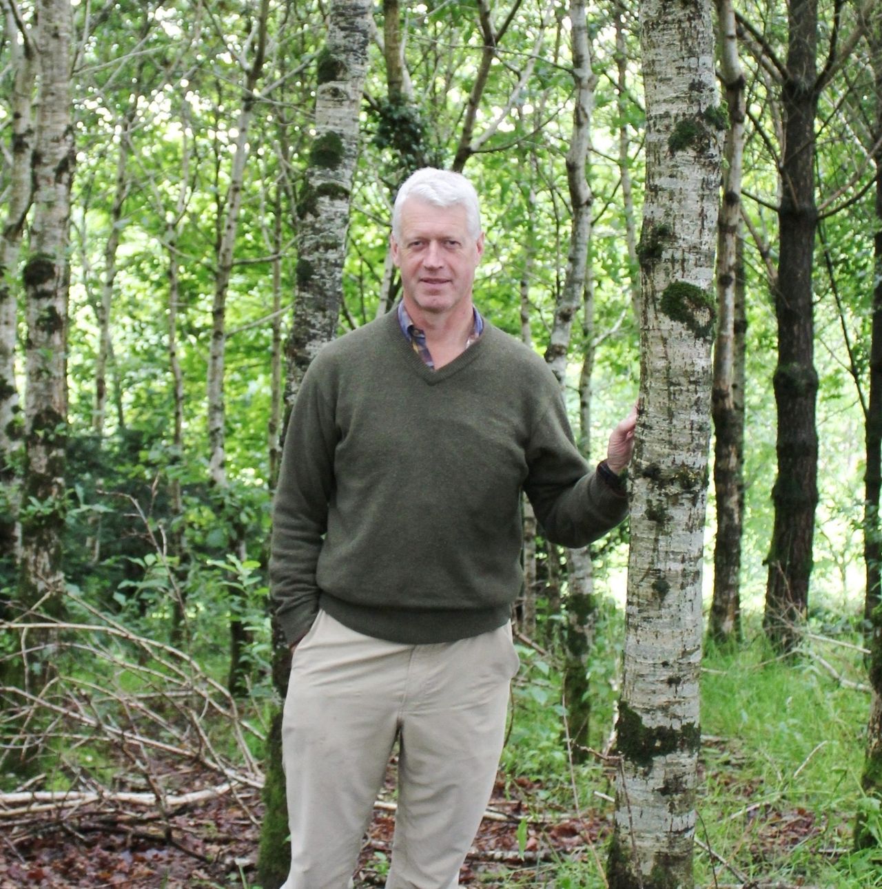 Tree planting policy for NI described as 'not fit for purpose'