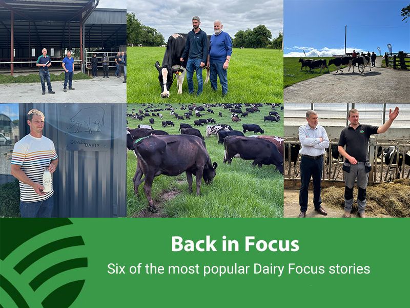 'Dairy Throwback' series to go live over Christmas period