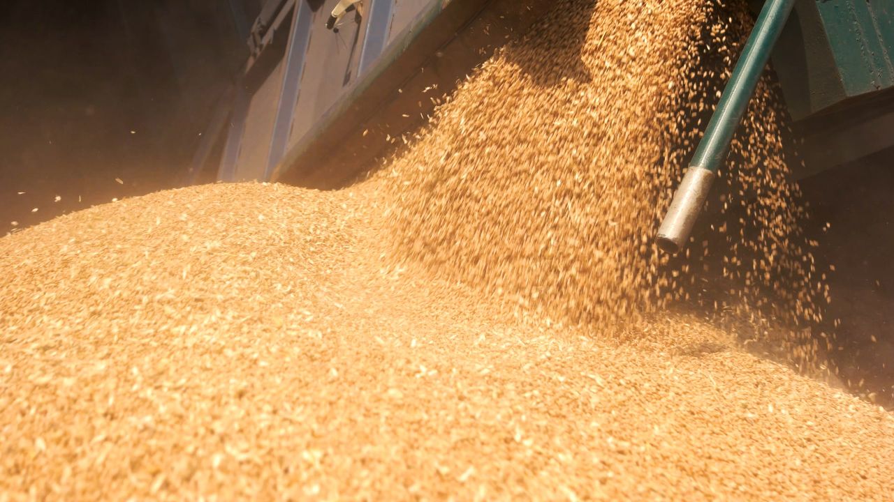 IGFA concern over impact of fuel protests on animal feed supplies