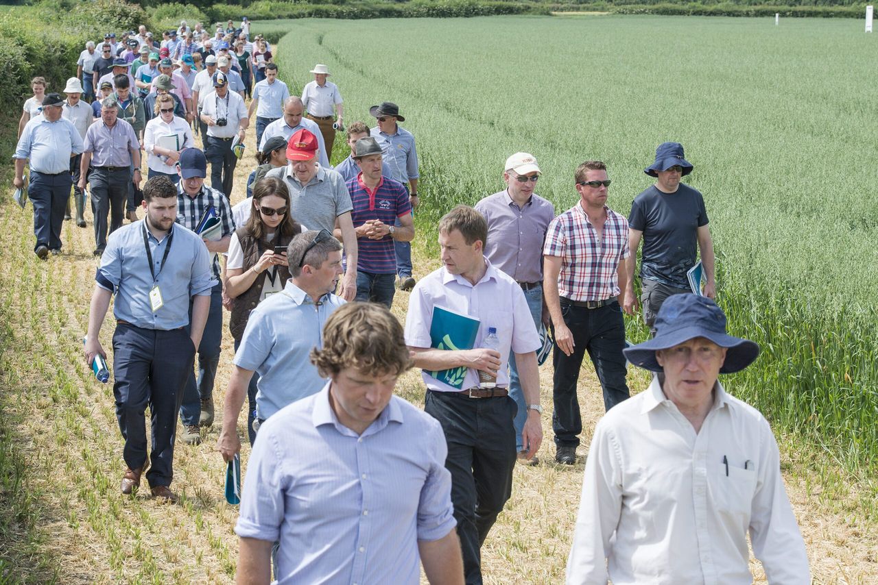 Diary dates: Keep up with the latest trial work at upcoming tillage events
