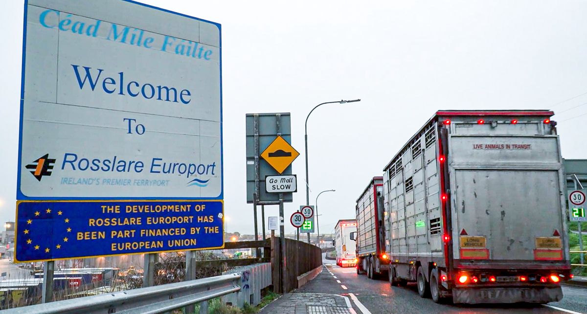 What is the outlook for Irish cattle exports in 2026?