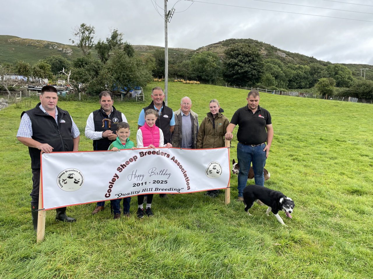 Watch: The rise of the Cooley Sheep Breeders - 24 years since the cull