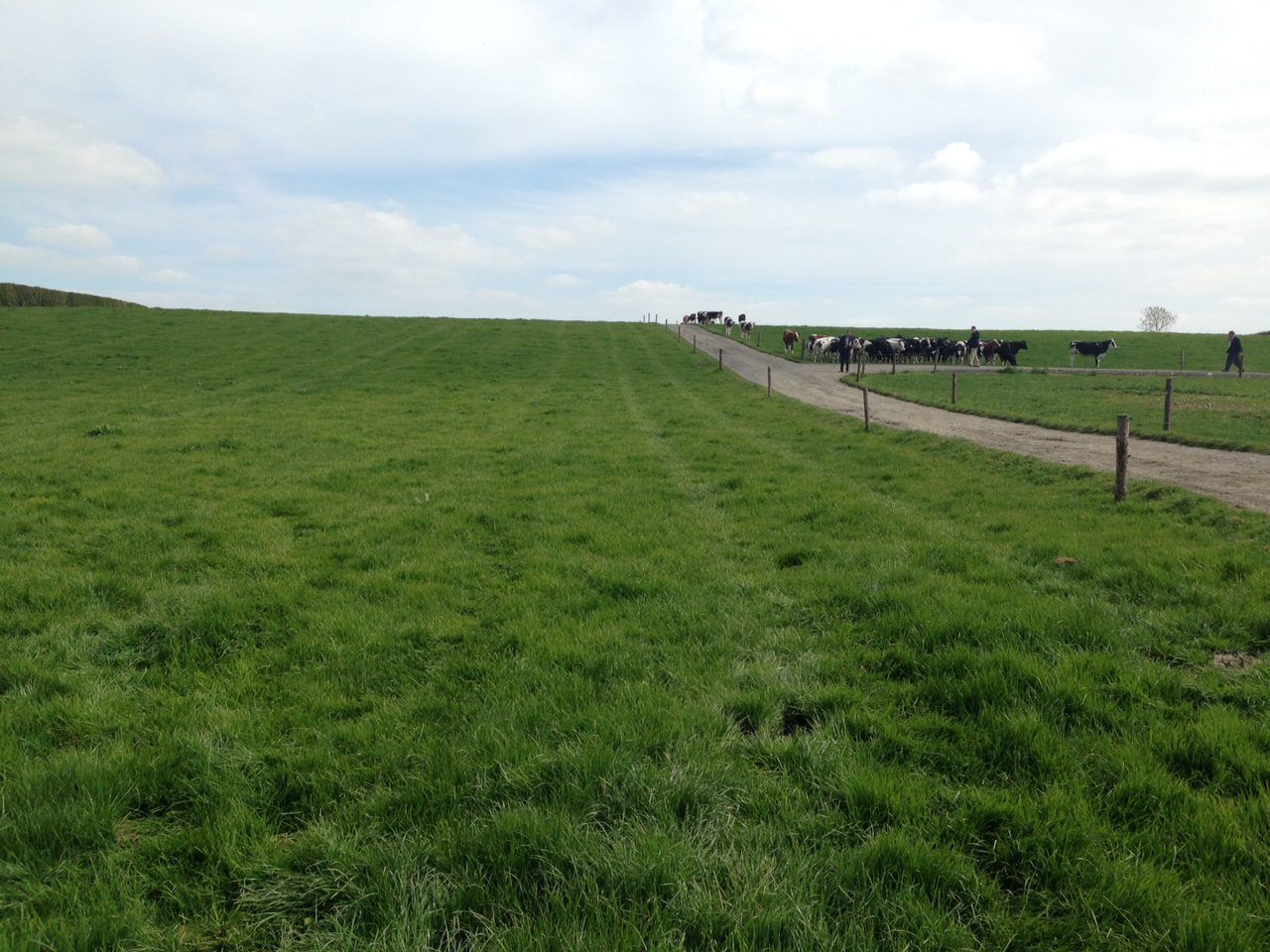 'Educating those not at the Dairy Conference about grass utilisation is the challenge'