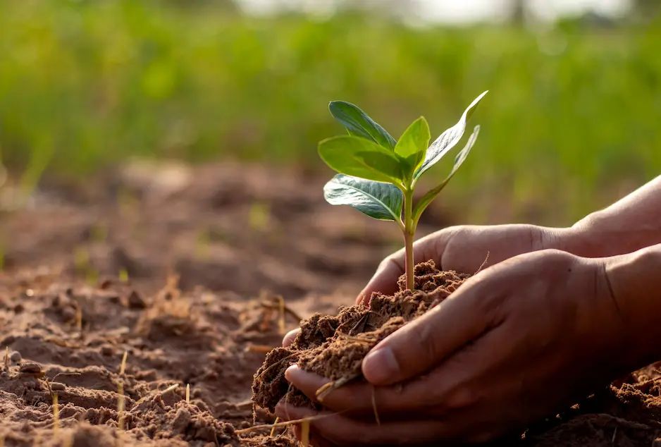 9 Irish pilot projects selected for SOILCRATES funding