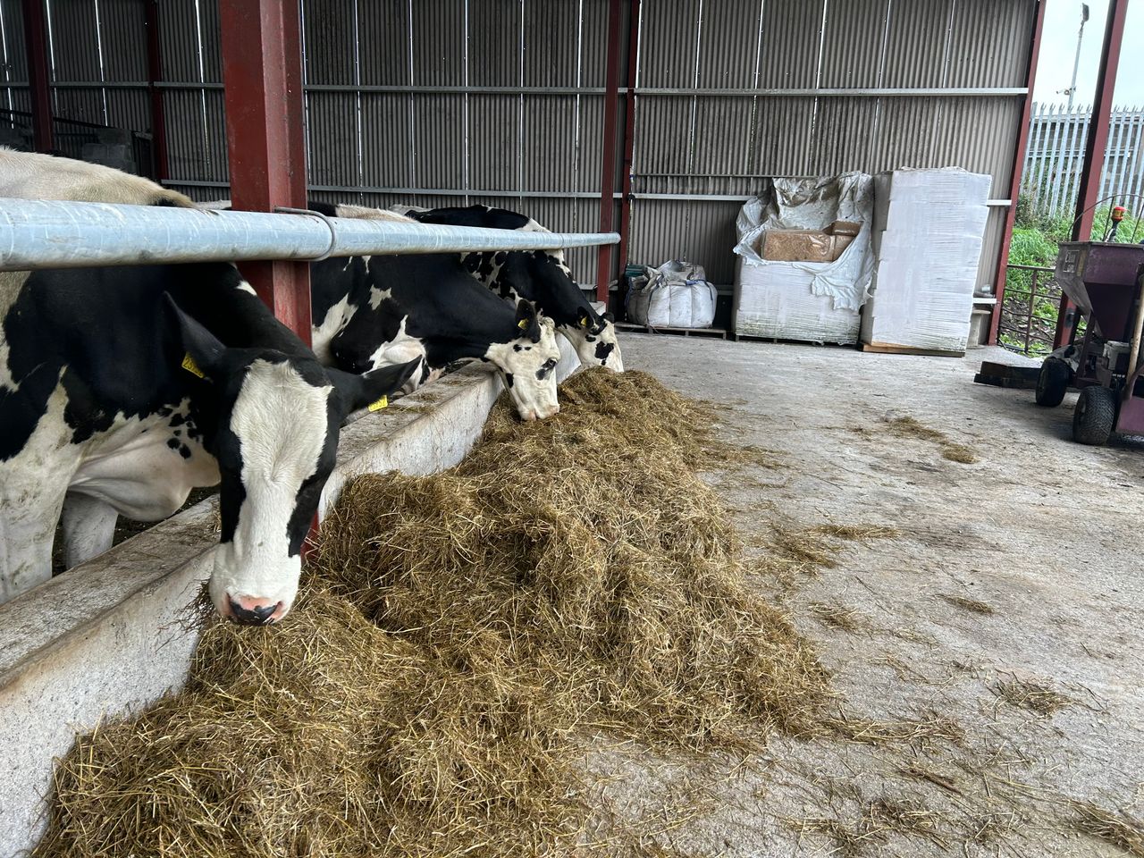 Pedigree production systems on display at IHFA event