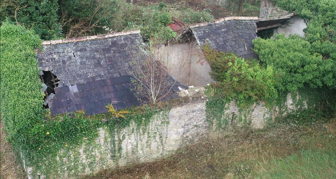 County council approves knocking of Magnier-owned farm buildings
