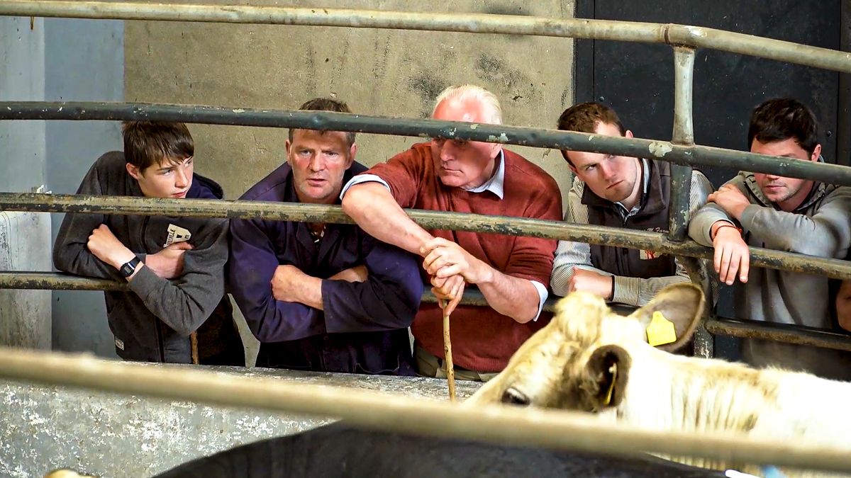 Macroom Mart appoints new mart manager