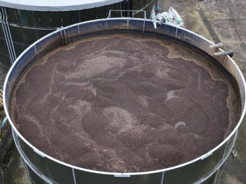 Clay aggregate can reduce ammonia emissions - CAFRE