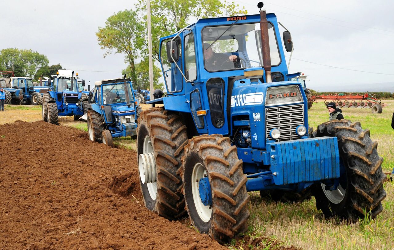 Ford frenzy: Turning the sod in the south-east