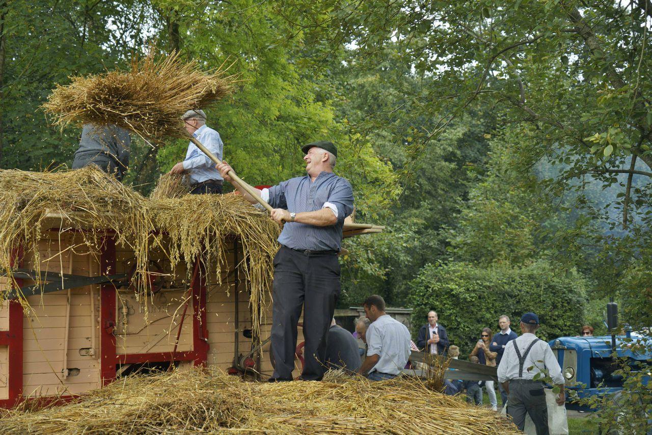 Traditional Harvest Day returns to Bunratty tomorrow