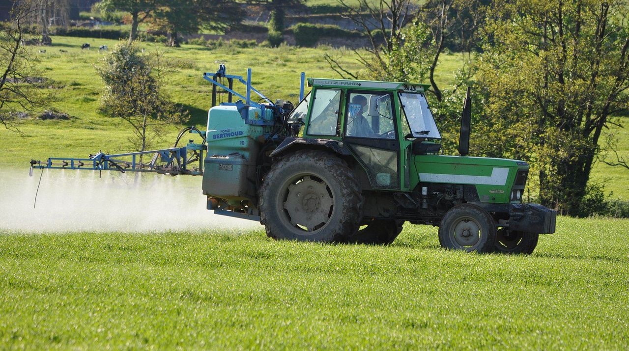 CAFRE: Cereal crop management - nitrogen